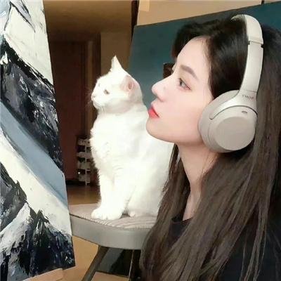 我洒顽皮豹