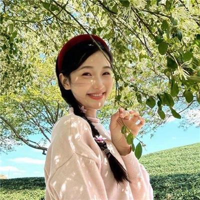 顽皮豹与铲子